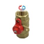 شیر قفلی نگین